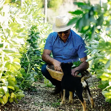 Monticelli Mansion 3*