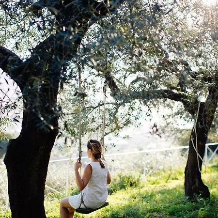 Szálloda Monticelli Mansion